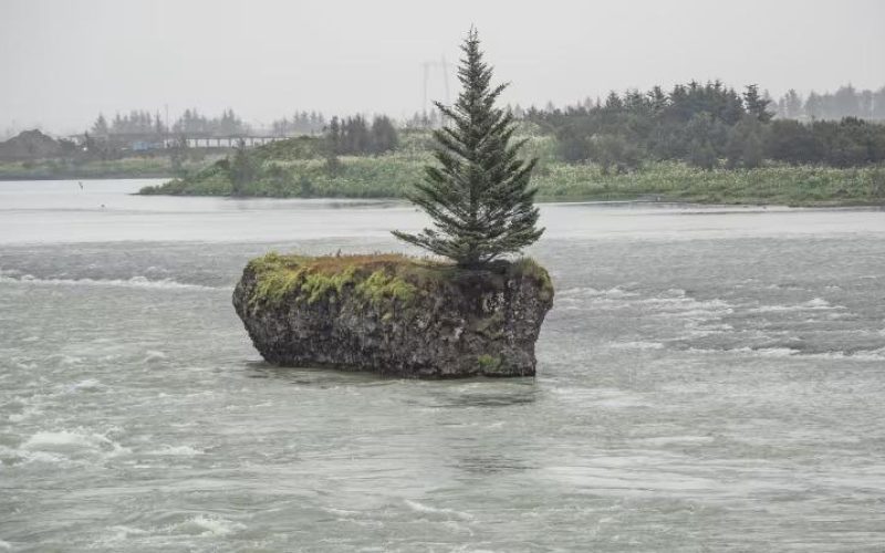 Iceland Premium Tours - Stranger Things Experience_8